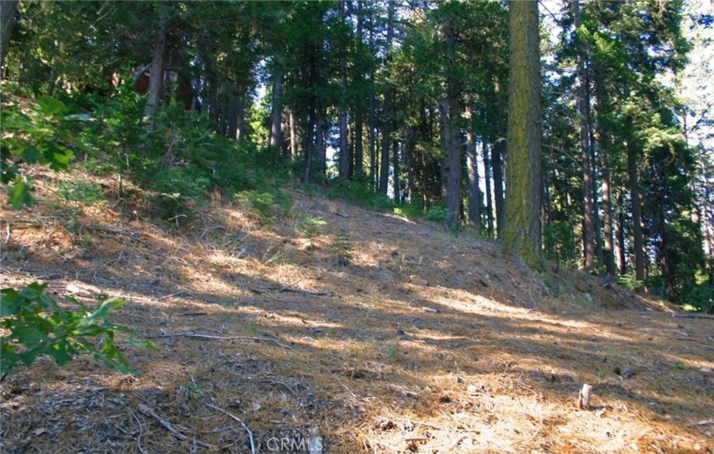 MLS #IG25271978 image #13