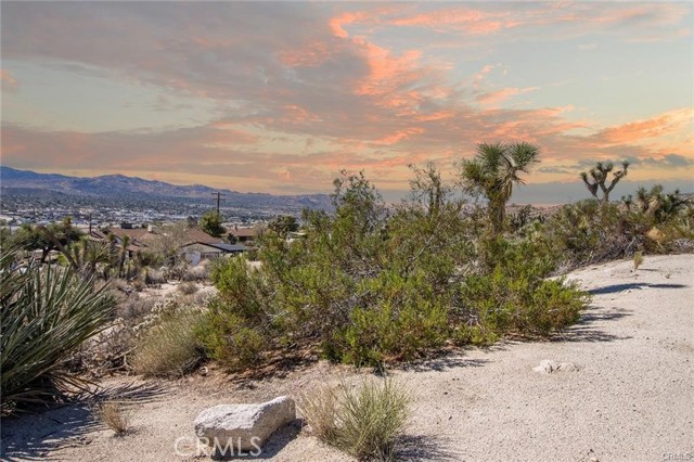Detail Gallery Image 4 of 37 For 6328 Palo Alto Ave, Yucca Valley,  CA 92284 - 3 Beds | 2 Baths