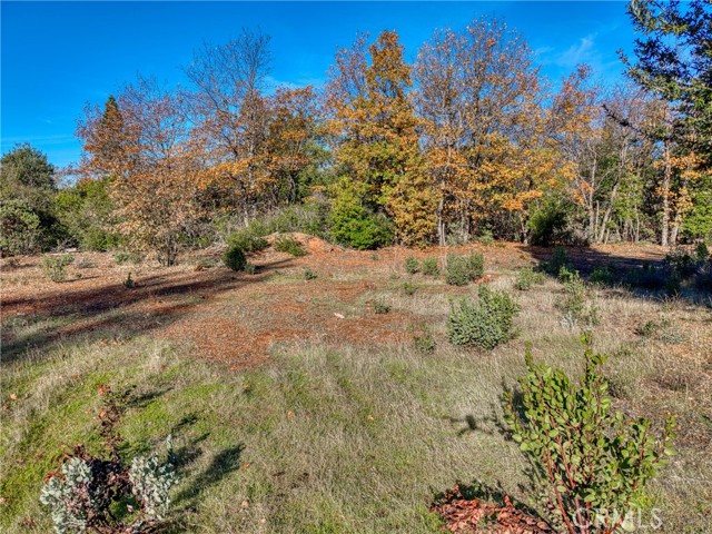 Detail Gallery Image 32 of 42 For 9184 Diamond Dust, Kelseyville,  CA 95451 - 2 Beds | 1/2 Baths