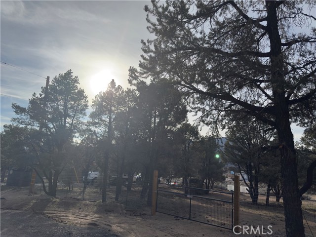 Detail Gallery Image 10 of 31 For 1820 Golden Rod, Big Bear City,  CA 92314 - – Beds | – Baths