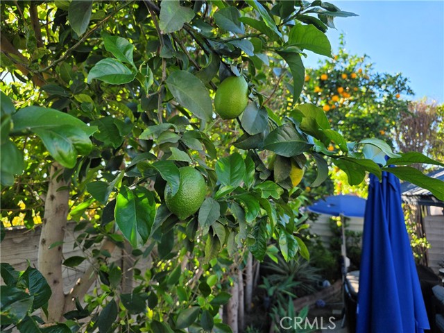 Detail Gallery Image 19 of 20 For 16264 Kalisher St, Granada Hills,  CA 91344 - 3 Beds | 2 Baths