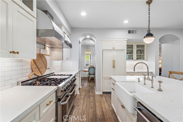 Professional Appliances and farmhouse sink