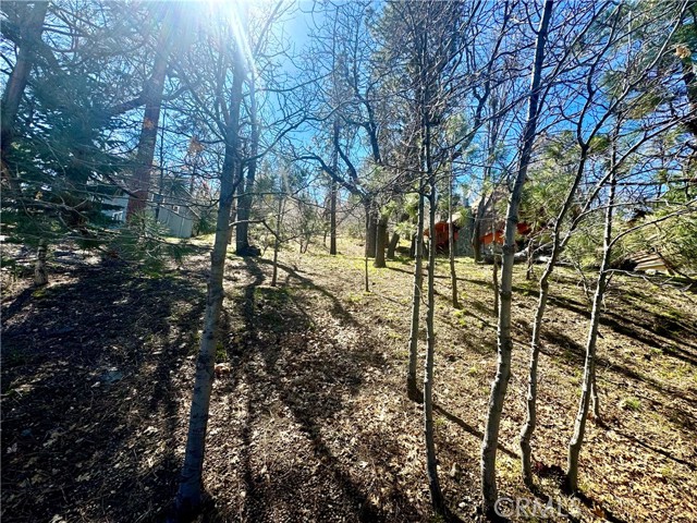 Detail Gallery Image 14 of 15 For 0 Oriole Rd, Wrightwood,  CA 92397 - – Beds | – Baths