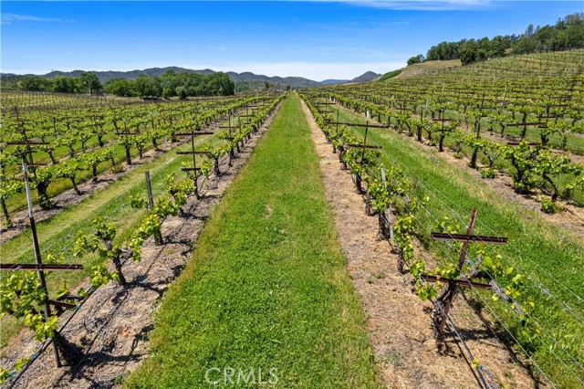 Detail Gallery Image 35 of 51 For 7875 Adobe Creek Rd, Kelseyville,  CA 95451 - 4 Beds | 4 Baths