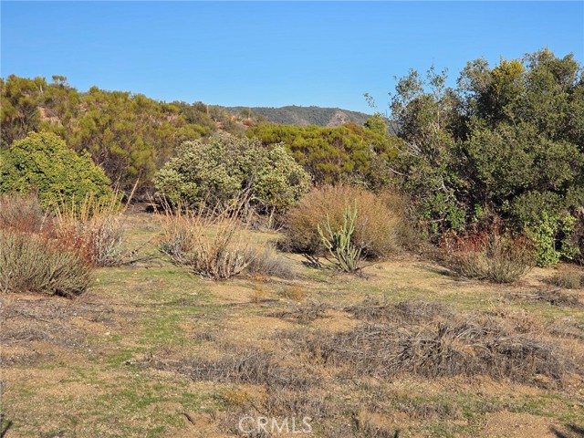 Detail Gallery Image 4 of 25 For 0 Mount Rd, Anza,  CA 92539 - – Beds | – Baths