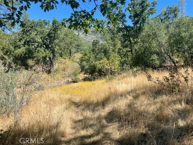 Detail Gallery Image 9 of 17 For 0 Lot 2 Peckinpah Acres Dr, North Fork,  CA 93643 - – Beds | – Baths