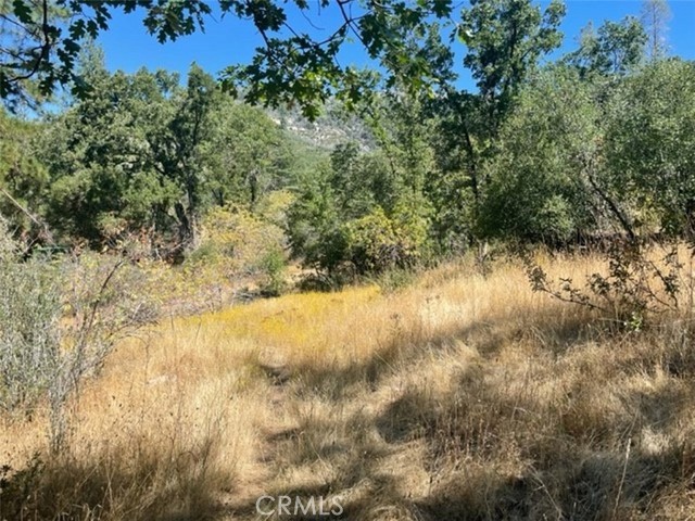 0 Peckinpah Acres Drive, North Fork, California 93643, ,Land,For Sale,0 Peckinpah Acres Drive,CRFR24049798