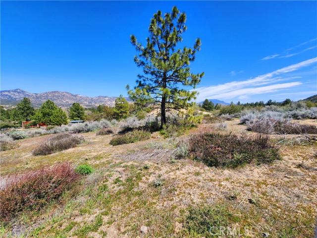 Detail Gallery Image 3 of 52 For 36088 Chimney Rock Ct, Mountain Center,  CA 92561 - – Beds | – Baths