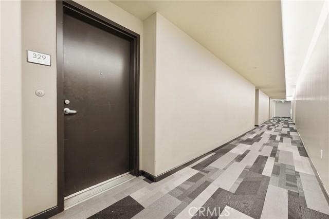 250 North First Street, 329 photo 35