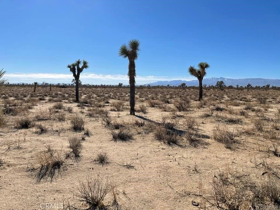 MLS #HD25000657 image #16