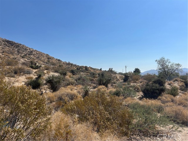 Detail Gallery Image 21 of 31 For 50212 Cedar Drive, Morongo Valley,  CA 92256 - 3 Beds | 2 Baths