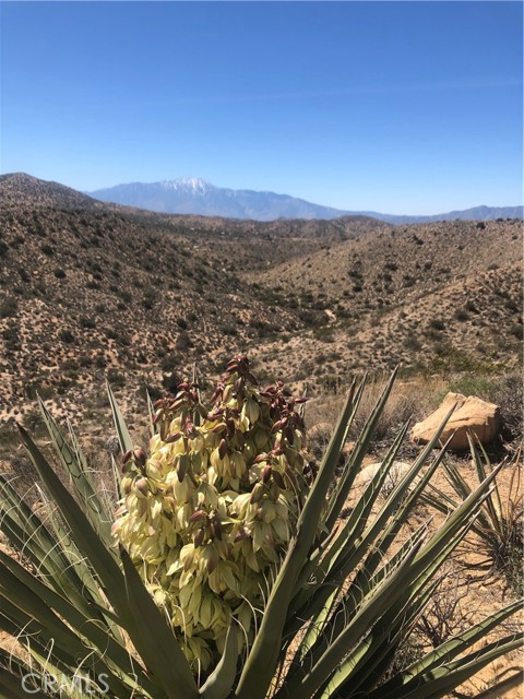 Image 7 of 10 For 54575 Navajo Trail