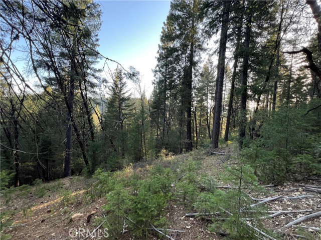 Detail Gallery Image 9 of 10 For 390 E Main, Quincy,  CA 95971 - – Beds | – Baths