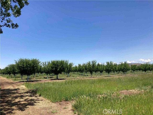 Detail Gallery Image 13 of 15 For 0 Volcano Way, Red Bluff,  CA 96080 - – Beds | – Baths