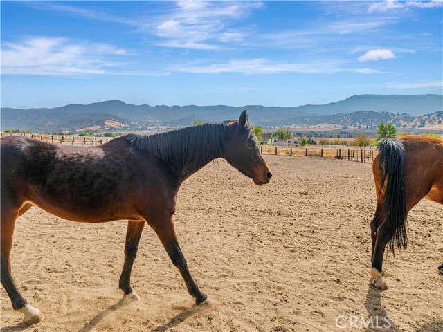 Detail Gallery Image 51 of 66 For 23237 Johnson Ct, Tehachapi,  CA 93561 - 4 Beds | 5 Baths