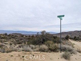 0 Lot 84 Mountain Center, Mountain Center, California 92561, ,Land,For Sale,0 Lot 84 Mountain Center,CREV23022559