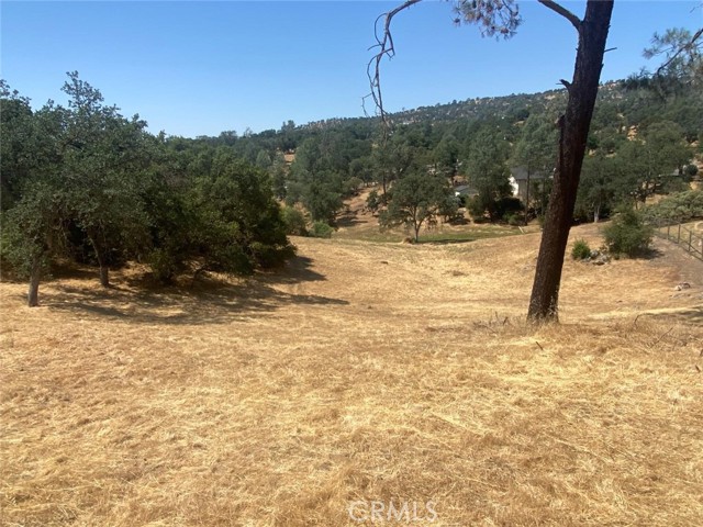 Detail Gallery Image 4 of 10 For 17 Titan Way Way, Coarsegold,  CA 93614 - – Beds | – Baths