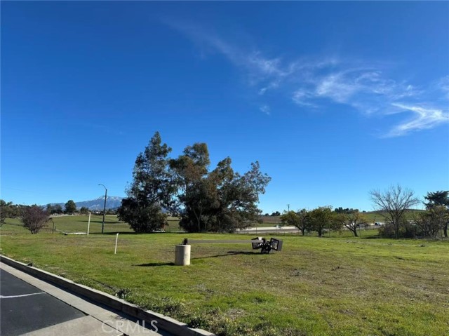 Front Image Thumbnail for CRWS25277689