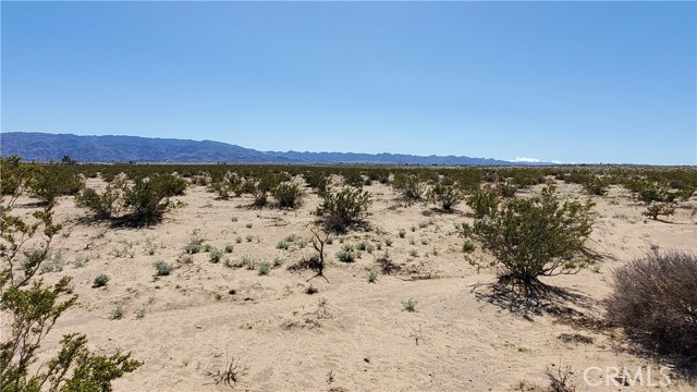 Detail Gallery Image 5 of 12 For 0 Taylor Ln, Twentynine Palms,  CA 92277 - – Beds | – Baths