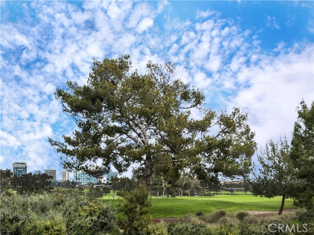 Front Image Thumbnail for CRLG26071448