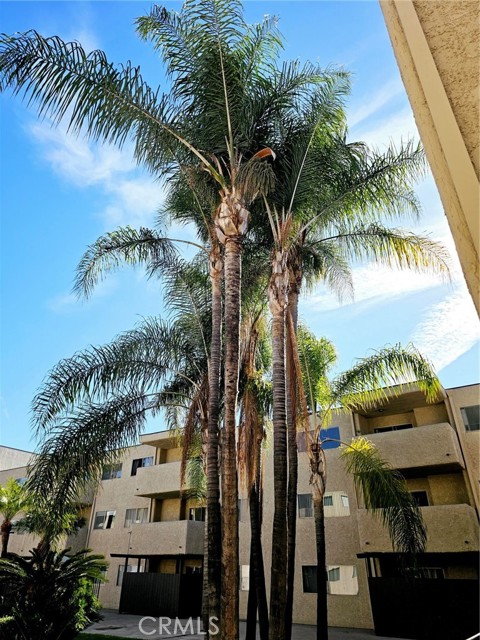 Detail Gallery Image 30 of 38 For 2386 E Del Mar Bld #316,  Pasadena,  CA 91107 - 2 Beds | 2 Baths