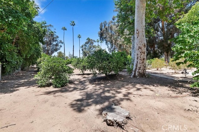 Detail Gallery Image 63 of 74 For 8180 Victoria Ave, Riverside,  CA 92504 - 4 Beds | 1/2 Baths