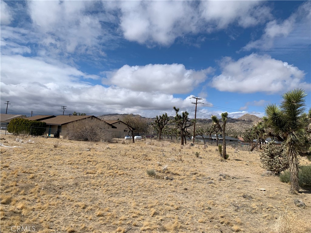 MLS #NP25067854 image #3