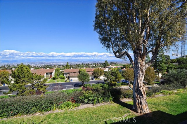 61 Sycamore Lane, Rolling Hills Estates, California 90274, 3 Bedrooms Bedrooms, ,3 BathroomsBathrooms,Residential,Sold,Sycamore,PV22035697