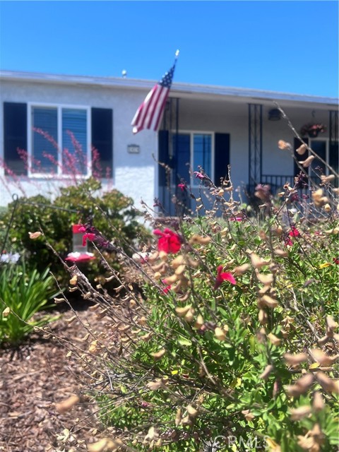 1474 W 1st Street, San Pedro CA: https://media.crmls.org/medias/9b4e1792-c2b6-4aae-91d6-7115a4989526.jpg
