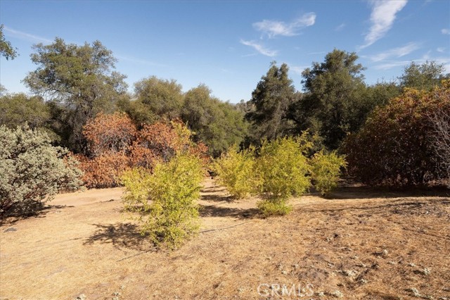 Detail Gallery Image 11 of 41 For 3279 Quail Run Rd, Mariposa,  CA 95338 - – Beds | – Baths