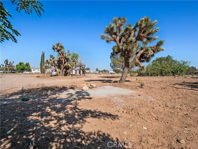 2350 W Avenue N12, Palmdale CA: https://media.crmls.org/medias/9b527825-3188-4f83-9a8b-087d25c1fa67.jpg