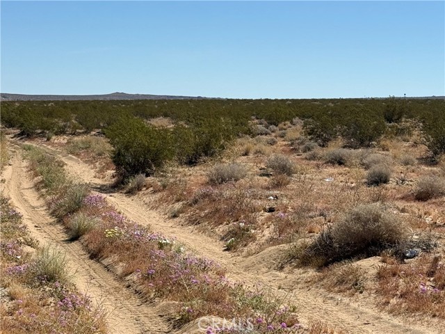 Detail Gallery Image 3 of 11 For 0 Ca-247, Johnson Valley,  CA 92285 - – Beds | – Baths