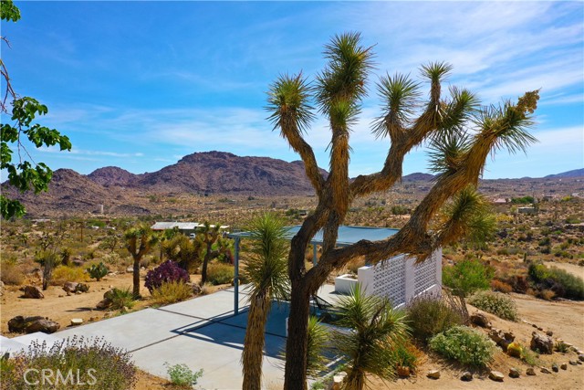 Detail Gallery Image 41 of 41 For 8775 via Rocosa Rd, Joshua Tree,  CA 92252 - 3 Beds | 2/1 Baths