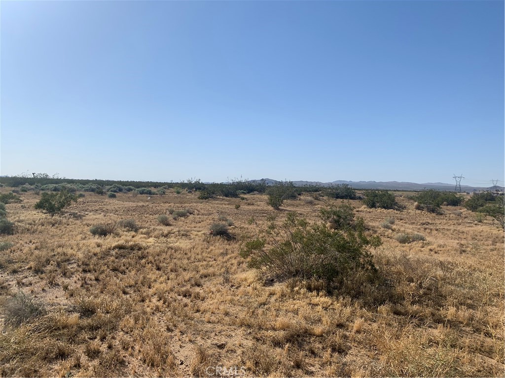 MLS #HD25220775 image #25