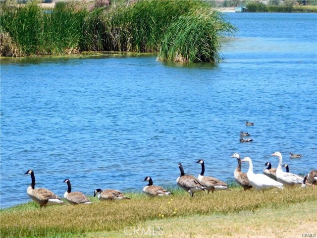 Detail Gallery Image 18 of 36 For 330 Sky Harbor Way, Aguanga,  CA 92536 - – Beds | – Baths