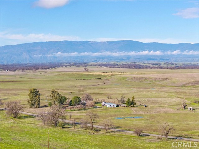 Detail Gallery Image 1 of 23 For 16620 Paskenta Rd, Corning,  CA 96021 - 2 Beds | 2 Baths