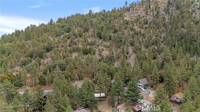 Detail Gallery Image 21 of 22 For 2080 Mojave Scenic Dr, Wrightwood,  CA 92397 - 2 Beds | 1 Baths