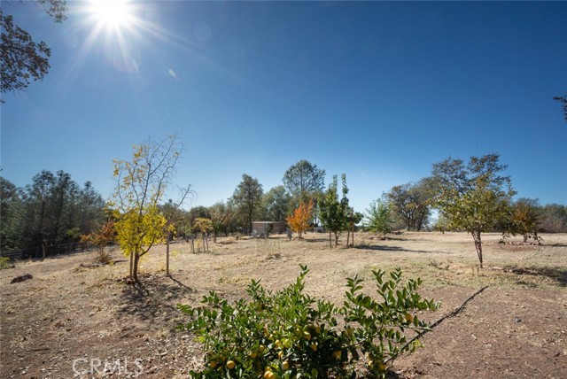 Detail Gallery Image 46 of 71 For 262 Pioneer Trl, Oroville,  CA 95966 - 3 Beds | 2 Baths