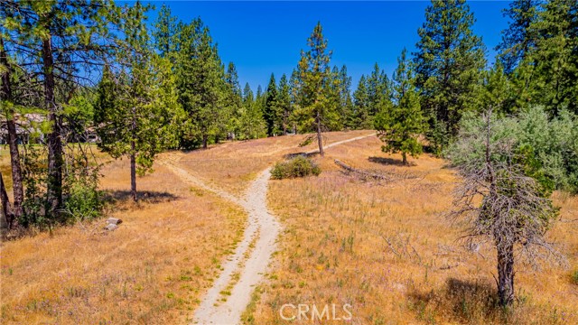 Detail Gallery Image 55 of 55 For 40333 Road 222 #102,  Bass Lake,  CA 93604 - 4 Beds | 2/1 Baths