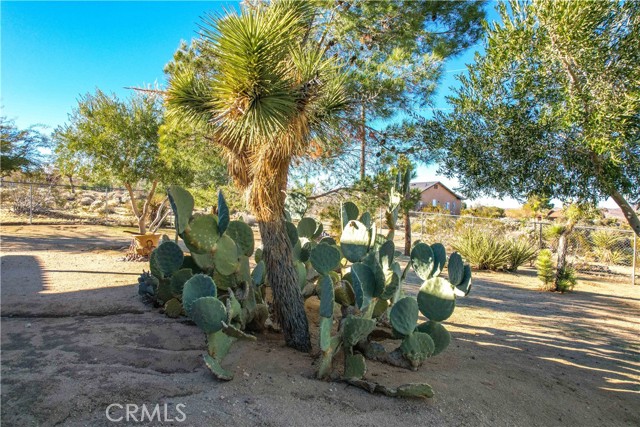 Detail Gallery Image 47 of 65 For 61218 Sandalwood Trl, Joshua Tree,  CA 92252 - 3 Beds | 2 Baths