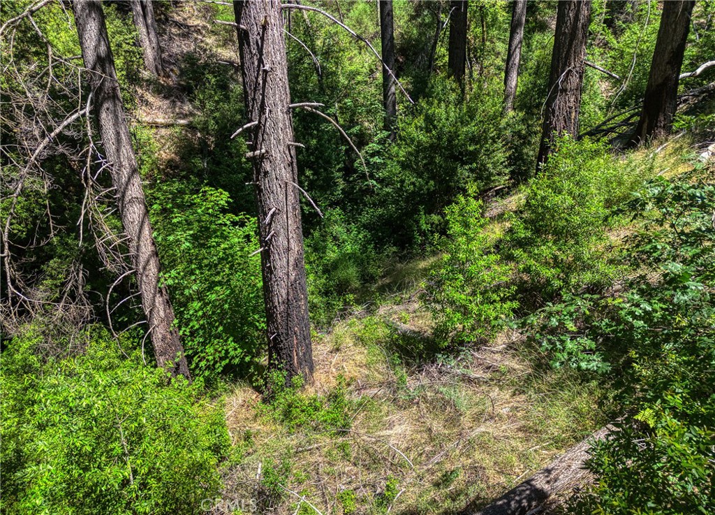 https://media.crmls.org/medias/9b7100c4-92a8-40aa-bc70-6d7057af369b.jpg?preset=X-Large