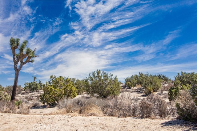 Detail Gallery Image 10 of 15 For 56600 Duarte St, Yucca Valley,  CA 92284 - – Beds | – Baths