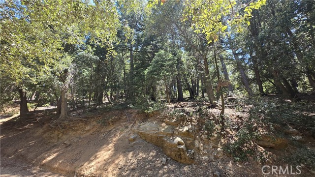 0 Mojave River Road, Cedarpines Park CA: https://media.crmls.org/medias/9b7764e4-1a97-4e55-bdb4-171d5ea4e738.jpg