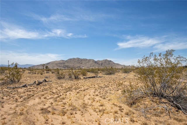 Detail Gallery Image 6 of 19 For 4444 Saddleback Dr, Joshua Tree,  CA 92252 - – Beds | – Baths