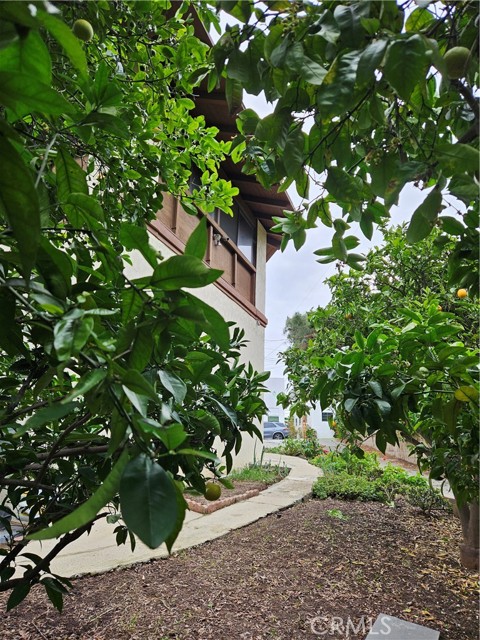 Detail Gallery Image 44 of 48 For 26349 Hillcrest Ave, Lomita,  CA 90717 - 5 Beds | 2 Baths