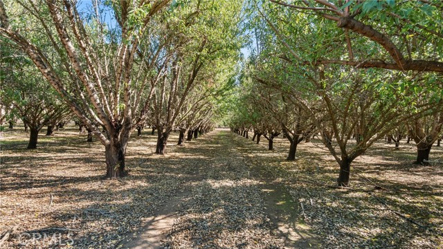 9246 Troxel Rd, Chico, CA, 95928 9246 Troxel Rd, Chico, CA, 95928