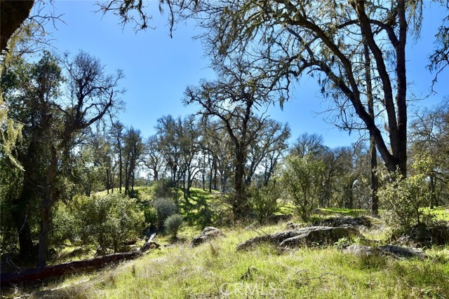 Detail Gallery Image 30 of 40 For 74980 Copperhead Rd, Bradley,  CA 93426 - – Beds | – Baths