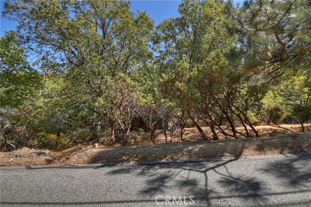 1348 Manzanita Way, Lake Arrowhead CA: https://media.crmls.org/medias/9b8fe72d-205d-4dc6-9185-0e29adfd8f34.jpg