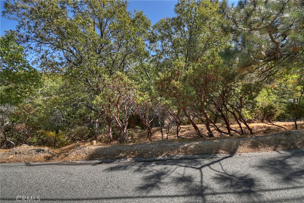 MLS #IG25150298 image #61