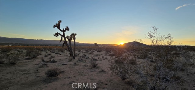 Detail Gallery Image 2 of 8 For 1 Belmont St, Joshua Tree,  CA 92252 - – Beds | – Baths